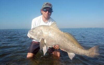 Black Drum Fishing in Tampa Bay!