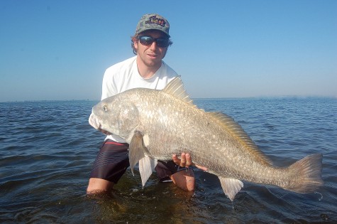 Black Drum Fishing in Tampa Bay!