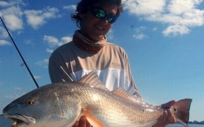 Redfishing in Charlotte Harbor