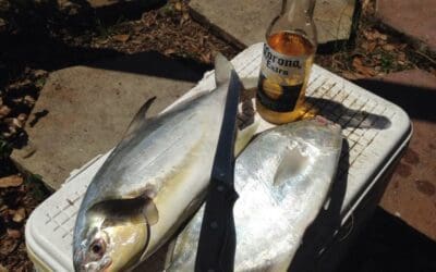 Terry got on the Pompano May 5