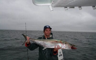 Summer is here! Tarpon and Kingfish from the boat. Early May Report