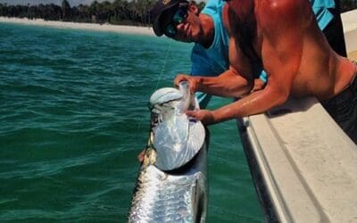 Tampa Bay tarpon season winding down, low tide kayak fishing heating up