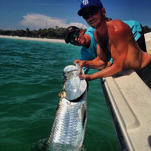 Tampa Bay tarpon season winding down, low tide kayak fishing heating up