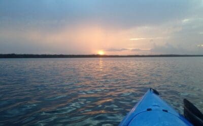 More tailing redfish bite on fire!  6/23/14