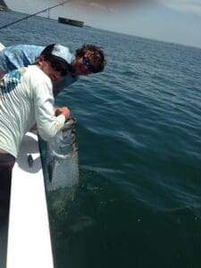 Two men catching large fish on boat.