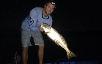 Gator trout and tailing redfish madness, evening fishing in Tampa Bay 6/24