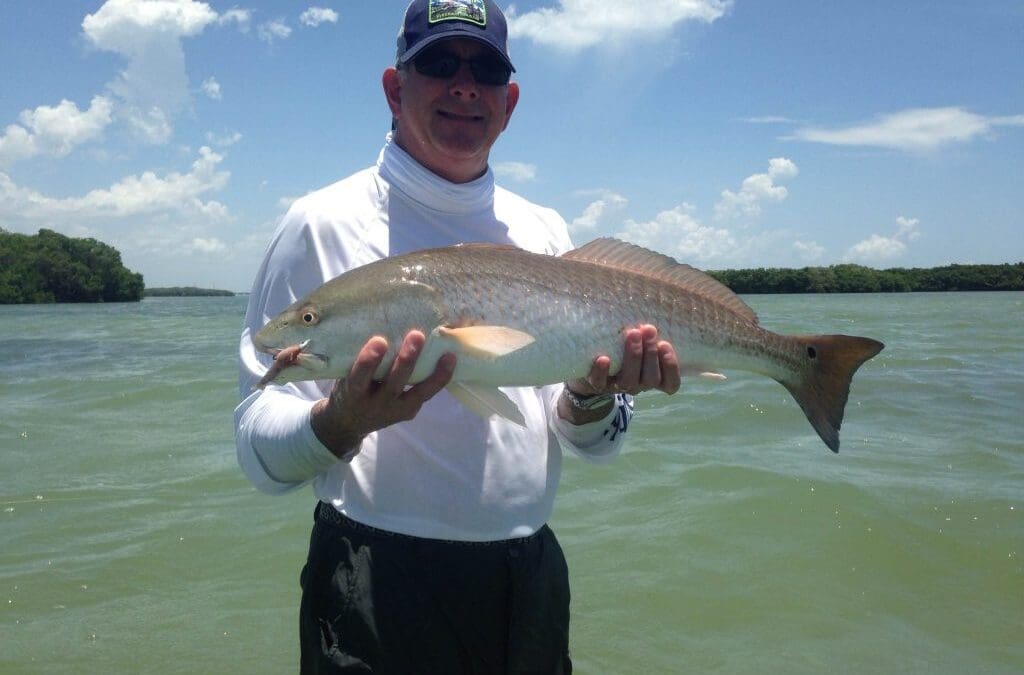 Man holding a large fish in water.