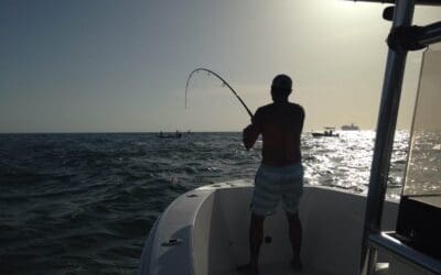 Tarpon fishing the new moon in June, mating for Capt Jim Lemke