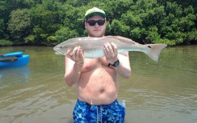 July 2 Redfish and bonnethead sharks with Jason and Josh in Tampa Bay