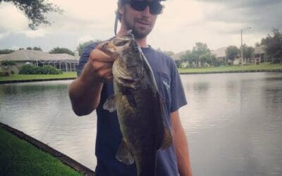 Mid-August foul weather bass and snook fishing from land