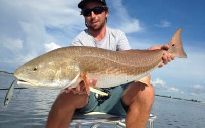 July 25 BIG over slot redfish schools FIRED UP!