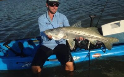 Aug 27 Big snook on the flats and redfish schools