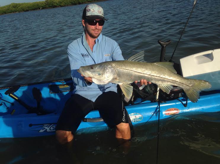 Aug 27 Big snook on the flats and redfish schools