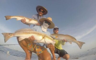 Sept 15 More insane redfish action and some monsters!