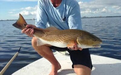 Sept 20 Tailing redfish on the skiff with Josh