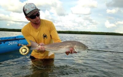 Sept 4 My first redfish on fly