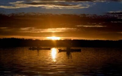 Evening lowtides with Jeff and company, big snook and tailing redfish Sept 6 & 7