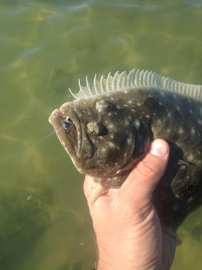 Nov 3 Post cold front fishing still HOT in Tampa Bay