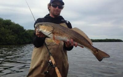 Nov 9 – Post cold front, big trout and redfish action