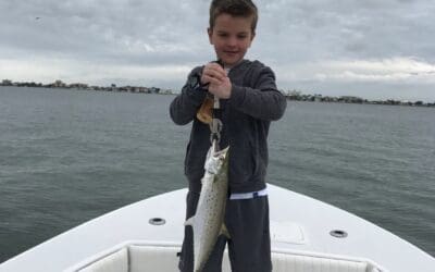 St. Pete Beach Kingfish April 1