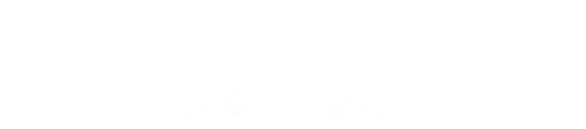 seein' red sport fishing charters logo for the best inshore fishing in tampa bay