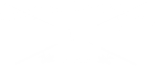 seein' red sport fishing charters logo for the best inshore fishing in tampa bay