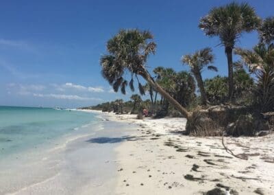 fort de soto area shell key and eggmount key beaches