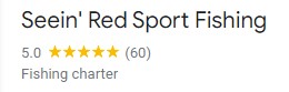 Google Review screensot of star grading