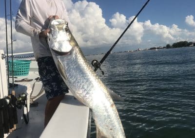 Man holding a tarpon he caught in Tampa Bay while inshore fishing