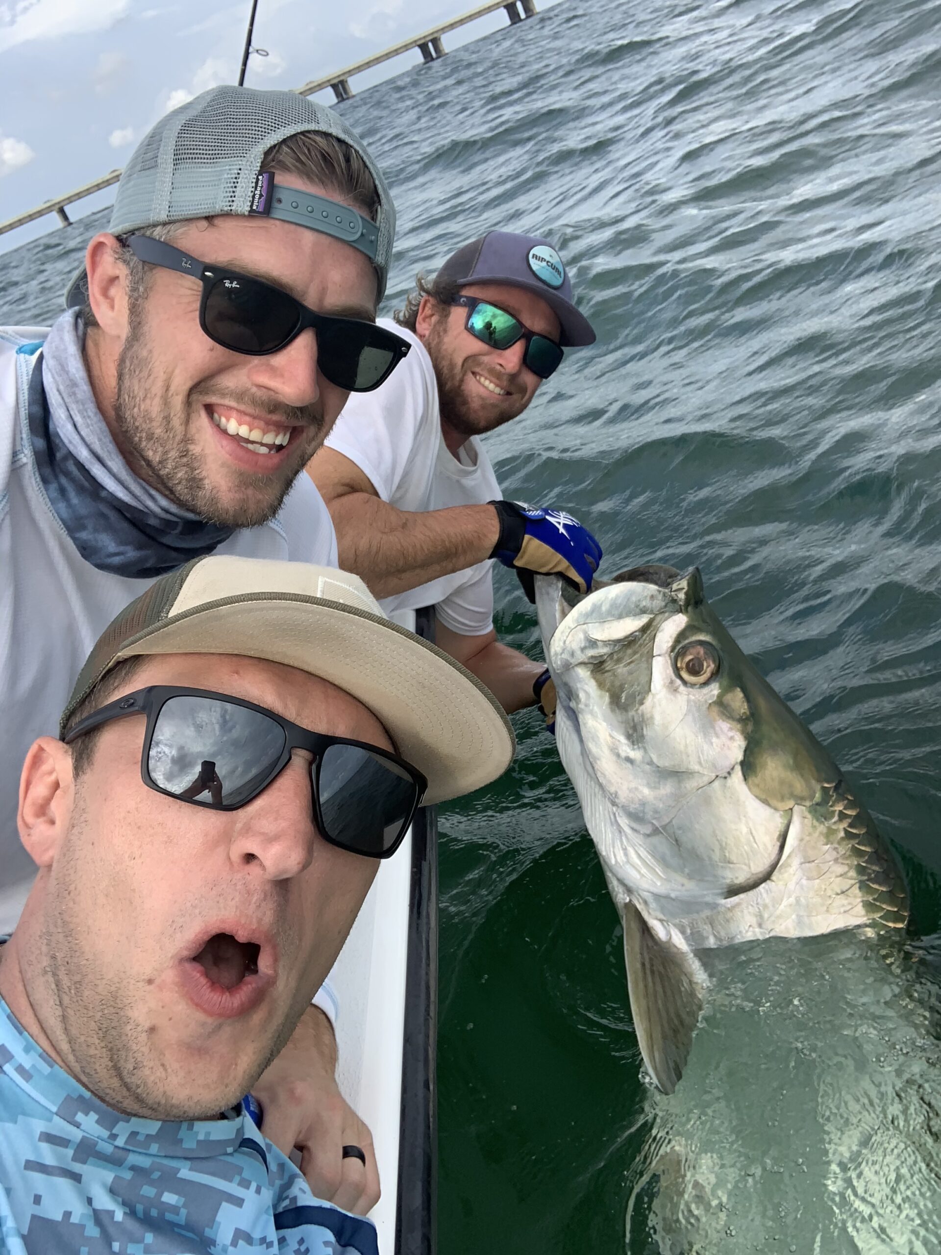 catching a large tarpon in Tampa Bay