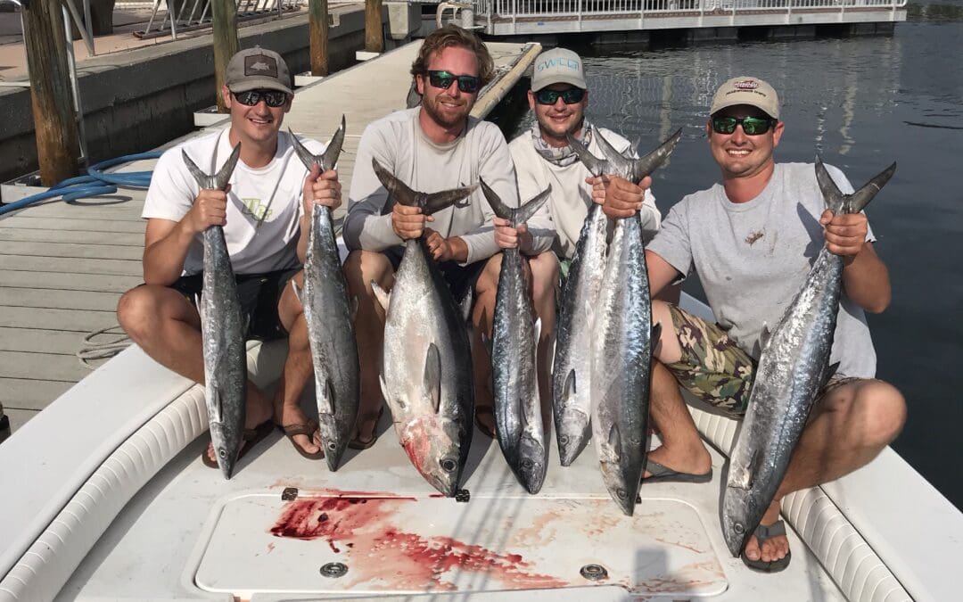 tampa bay fishing charter