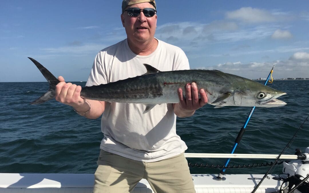 April 8th Kingfish, Snook and Redfish Action