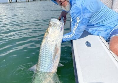 catching a tarpon in tampa bay