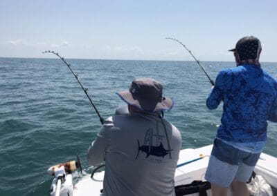 tarpon fish in the gulf of mexico